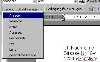 Seriendruckfeld einfügen