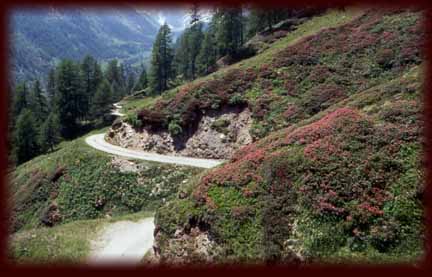 Hhenweg am Timmelsjoch (Italien)